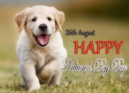 International dog day was founded in 2004 by colleen paige, an advocate for animals and. National Dog Day Slogans Wishes Messages Quotes Greetings Text Sms 2021 Gsmarena Com
