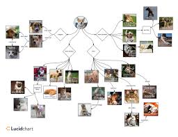 Understanding Doggo Memes Video Diagram Lucidchart Blog