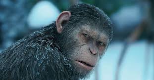 Image result for Planet of the apes pics
