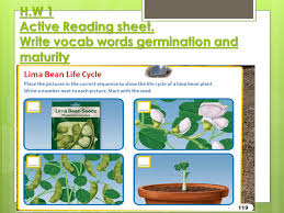 Plants Unit 3 Lesson 2 Objective 1 Identify The Word
