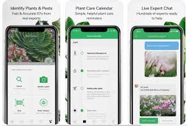 Flowers instantly identify plants of all kinds: 19 Best Plant Identification Apps For 2021 Balcony Garden Web