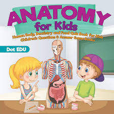 Displaying 22 questions associated with risk. Anatomy For Kids Human Body Dentistry And Food Quiz Book For Kids Children S Questions Answer Game Books Dot Edu 9781541916913 Amazon Com Books