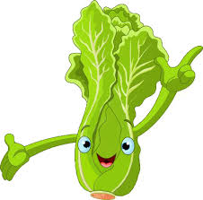 Image result for lettuce