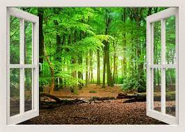 Forest Wall Decal 3d Window Wall Decal