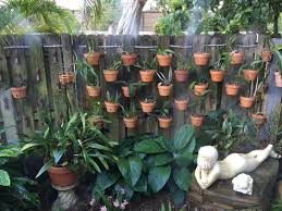 It may seem like the water is flowing out of the container too quickly, faster than the roots can absorb it. 120 Orchid Designs Using Hangapot The Favorite Hanger Of Orchid Lovers Ideas In 2021 Orchids Plant Hanger Clay Pots