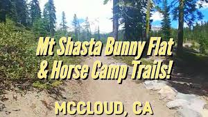 Bunny Flat Trail, Horse Camp Trail, Hiking Trails & Trailheads Mount Shasta.  McCloud, California - YouTube