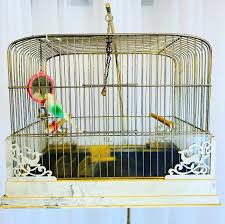 Check out our bird cage design selection for the very best in unique or custom, handmade pieces from our shops. Mid Century Modern Bird Cage Brass Cage Gracie S 20th Century Design Facebook