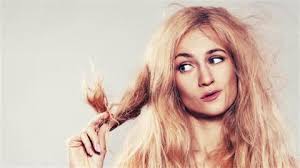 Image result for oily dry hair