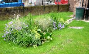 Planted with grasses and flowering perennials, rain gardens can be a cost effective and beautiful way to reduce runoff from your property. Simple Rain Garden In Islington London Robert Bray Associates Rain Garden Vertical Garden Green Roof