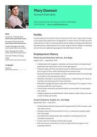 To seek employment in a well performing organization that will allow me to add value to its operations through consistent hard work and dedication and enhance my knowledge as well as personal growth. Account Executive Resume Examples Writing Tips 2021 Free Guide