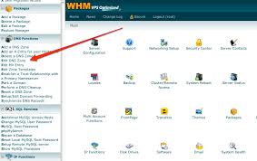 Updating An A Record In Cpanel Liquid Web