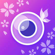 youcam perfect photo editor video