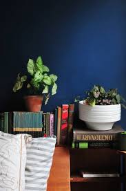 The Best Paint Colors 10 Valspar Bold