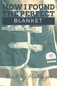 How I Found The Perfect Blanket For My Haflinger Smartpak