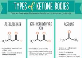 what are ketones ketones in urine