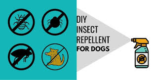 bug spray and insect repellent for dogs