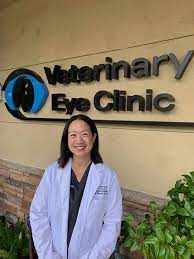 Veterinary Eye Clinic gambar png