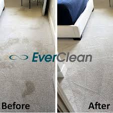 carpet cleaning near cool springs