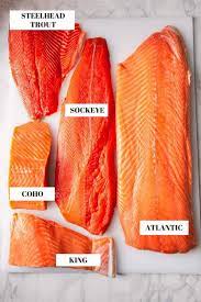 salmon varieties a complete guide to