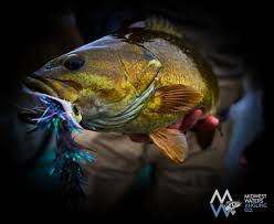 Midwest Waters Angling Co Illinois Fly Fishing Guides