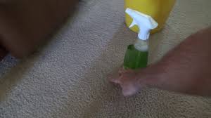 spot cleaning carpets with simple green