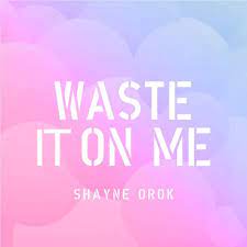 Bts (cheat codes remix) from ultra music out now! Steve Aoki Ft Bts ë°©íƒ„ì†Œë…„ë‹¨ Waste It On Me Cover By Shayne Orok By Shayneorok
