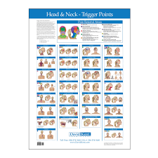 Trigger Point Chart Head And Neck