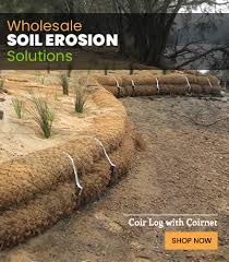 the causes and effects of soil erosion