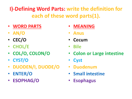 i defining word parts write the