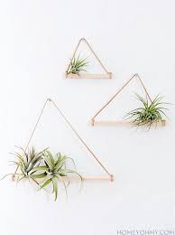 9 now ideas decorate with air plants