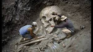 Image result for the nephilim skulls