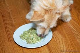 Raw pet food for kidney health. Recipe For Low Phosphorus Dog Food Caring For A Dog With Chronic Renal Failure