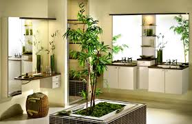 Use Plants In The Bathroom