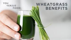 is wheatgr actually healthy a