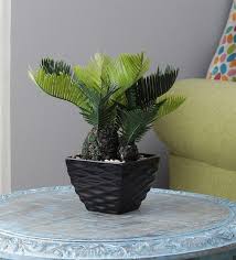 Green Plastic Polyester Sago Palm With Black Pyramid Shape Pot By Foliyaj