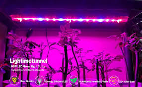 4 Pack Led Grow Light With Timer 40w T5 Grow Lights Strip Grow Lamp Bar 4 Levels Brightness Dimmable For Indoor Tent Greenhouse Gardening Hydroponics Plants Veg Flower Seedlings Amazon Sg Home