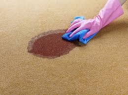 carpet cleaning canton michigan