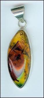 dominican amber baltic amber and