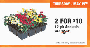 So, go through the list and see things you never expected you could find at home depot. 12 Pack Annuals Flowers 5 At Home Depot Today Only