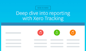 Compare All Areas Of Your Business Side By Side Xero Blog