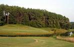Pine Creek Golf Course in Mount Juliet, Tennessee, USA | GolfPass