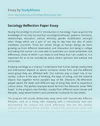 What is an example of reflection? Sociology Reflection Paper Free Essay Example