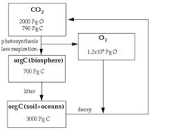 Chapter 6 Geochemical Cycles