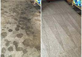 the 1 carpet cleaning in mckinney tx