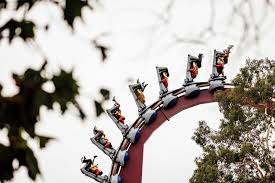 bay area roller coaster ranked