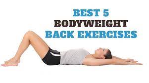 best 5 bodyweight back exercises