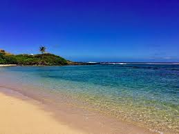 Best Beach Snorkeling On Molokai Review Of Murphys Beach
