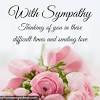 Use this simple guide to help you find the right words of condolence in sympathy messages, funeral flowers and cards. 3