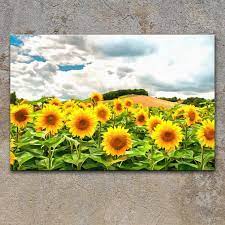 Field Of Sunflowers Sunflower Canvas