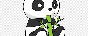 giant panda drawing cuteness how to